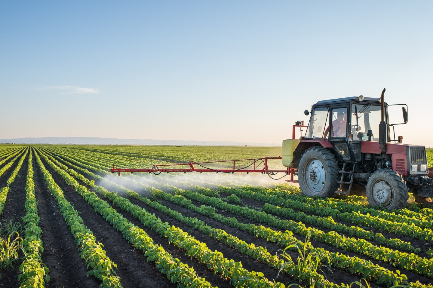agricultura