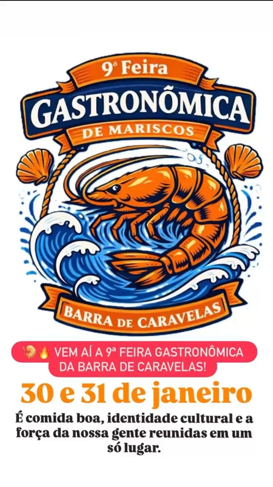 WhatsApp Image 2026-01-05 at 17.50