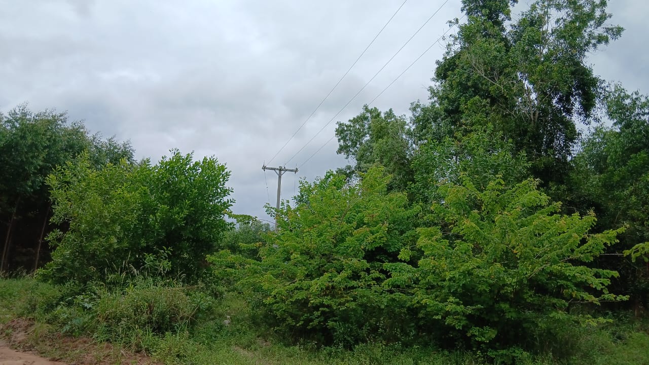 WhatsApp Image 2026-01-26 at 19.30