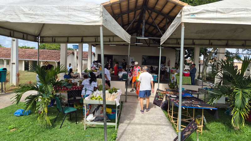 WhatsApp Image 2026-04-08 at 19.25