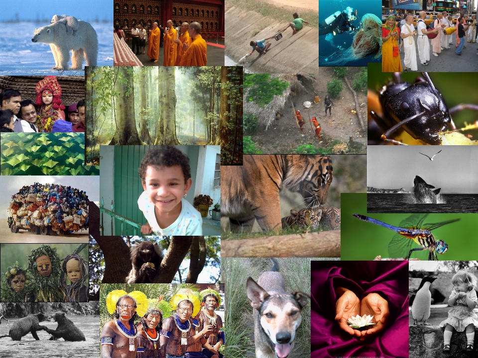 biodiversidade1