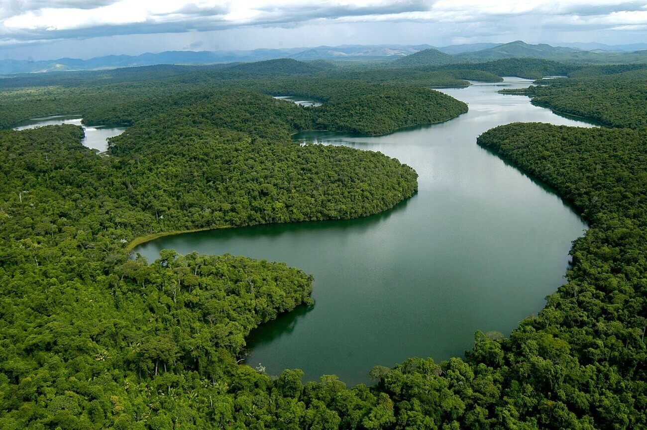 dia-da-mata-atlantica-o-que-vai-acontecer-dia-27-de-maio
