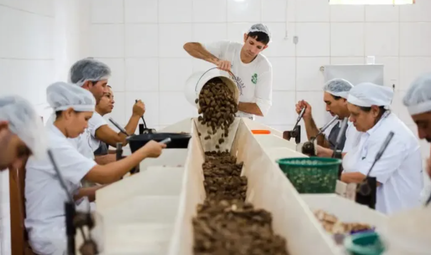 Captura de tela 2026-06-18 065136